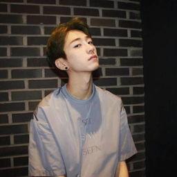 写真韩国网红男,揭秘写真韩国网红男生的时尚风采