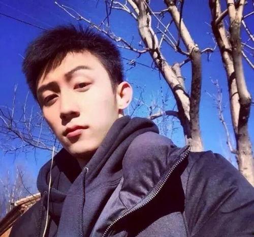 东宫西宫原定演员是谁,原定演员阵容揭秘，众星云集引期待