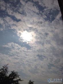 重见天日图片,重见天日的历史瞬间