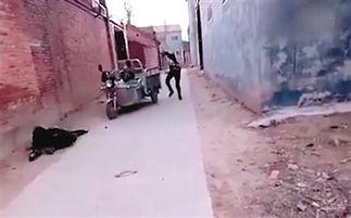 大哥别杀我搞笑视频,爆笑视频带你领略喜剧魅力