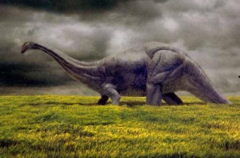 雷龙的个人资料,勇闯江湖的传奇侠客